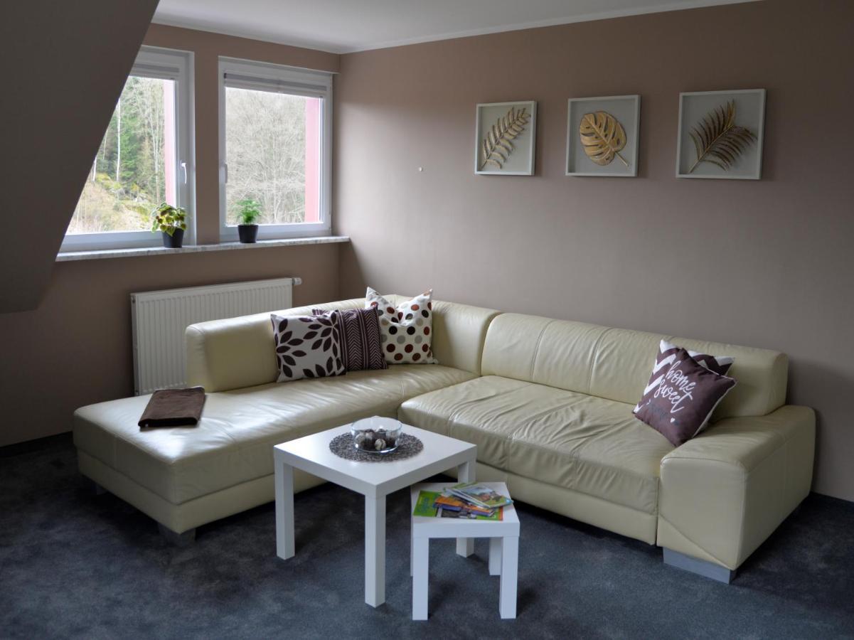 Appartement Am Quellenhaeuschen à Naila Extérieur photo
